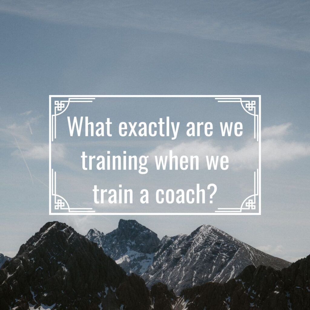 Beyond Coaching Skills: What exactly are we training when we train a coach?
